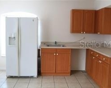 2531 Fan Palm - Photo Thumbnail 1