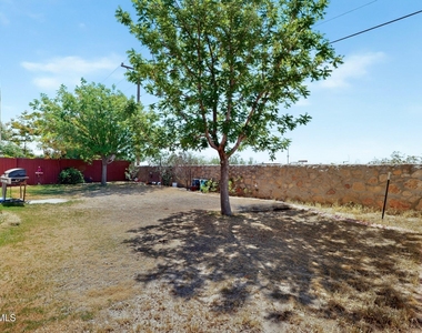 14224 Desert Ash Drive - Photo Thumbnail 57