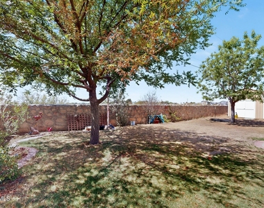 14224 Desert Ash Drive - Photo Thumbnail 58