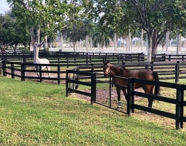 4491 Palm Breeze Trail - Photo Thumbnail 10