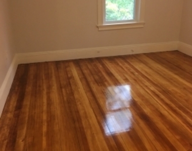 50 Lithgow St - Photo Thumbnail 4