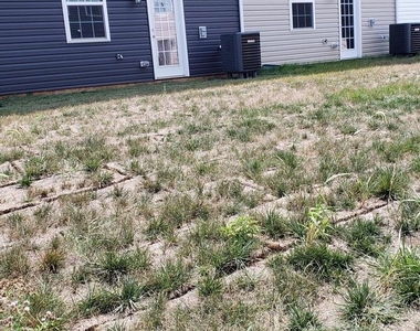 186 Caterpillar Drive - Photo Thumbnail 30
