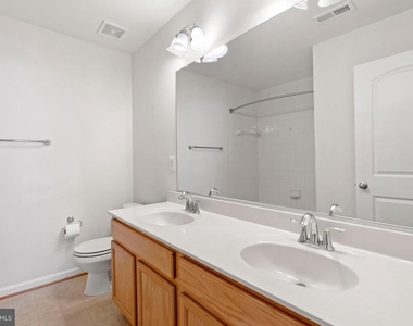 22667 Flowing Spring Square - Photo Thumbnail 20