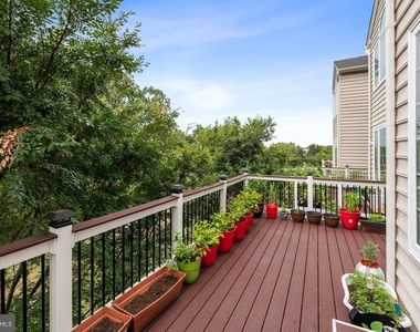 43241 Mitcham Square - Photo Thumbnail 32