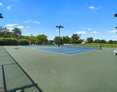 21163 Crocus Terrace - Photo Thumbnail 31