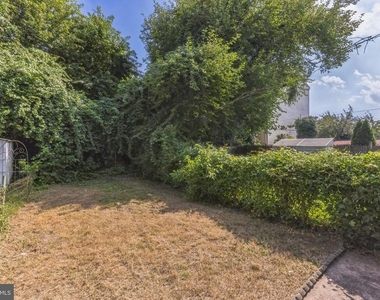 427 Ripka Street - Photo Thumbnail 13