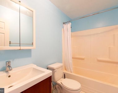 152 Tree Street - Photo Thumbnail 15