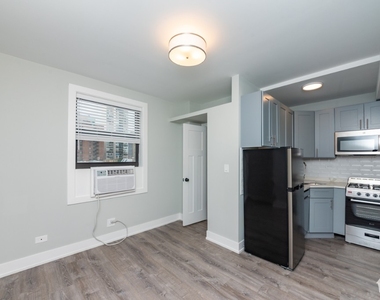 505 W Belmont - Photo Thumbnail 3