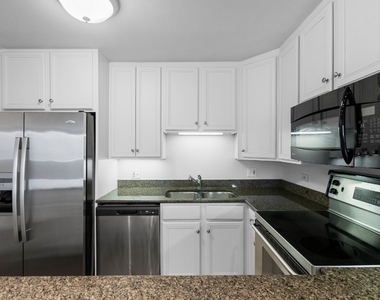 1344 N Dearborn - Photo Thumbnail 6