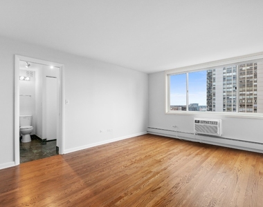 1344 N Dearborn - Photo Thumbnail 8