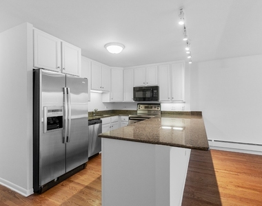 1344 N Dearborn - Photo Thumbnail 5