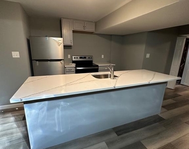 1019 Christian Street - Photo Thumbnail 3
