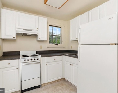 347 Nassau Street - Photo Thumbnail 13