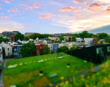 57 N Street Nw - Photo Thumbnail 23