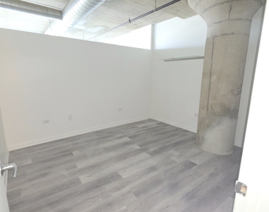 1550 S Blue Island Avenue - Photo Thumbnail 4