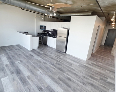 1550 S Blue Island Avenue - Photo Thumbnail 2