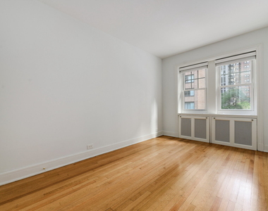 202 E Walton Place - Photo Thumbnail 21