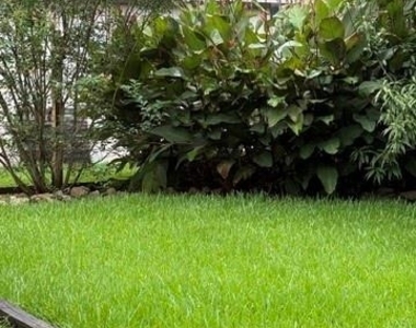 907 Goldfinch Avenue - Photo Thumbnail 6