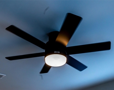 102 Marsden St - Photo Thumbnail 20