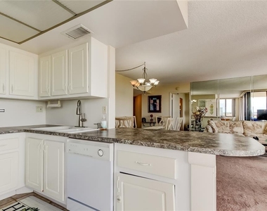 6218 Palma Del Mar Boulevard S - Photo Thumbnail 4