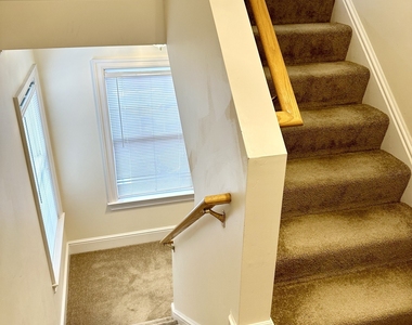 14 Haviland Street - Photo Thumbnail 11