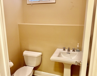 14 Haviland Street - Photo Thumbnail 15