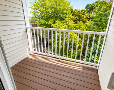 14 Haviland Street - Photo Thumbnail 13