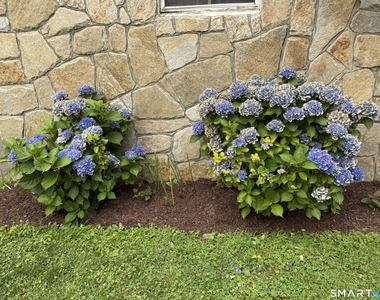 18 Dawn Street - Photo Thumbnail 14