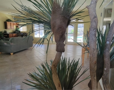 316 Fountain Crossing Lane - Photo Thumbnail 35