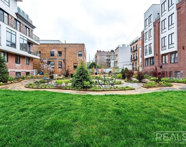 72 Maujer Street - Photo Thumbnail 11