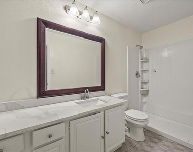 2504 Brook Hollow Court - Photo Thumbnail 18