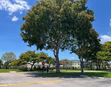 36 Mansfield A - Photo Thumbnail 10