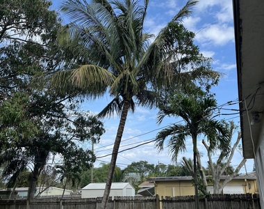511 W Palm Street - Photo Thumbnail 18