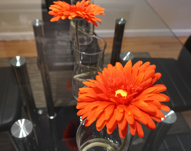 1308 White Pine Drive - Photo Thumbnail 7