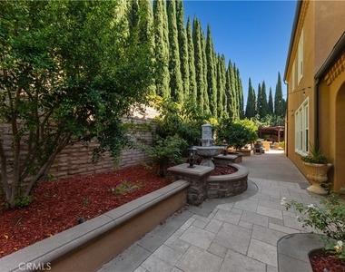 2 Conifer - Photo Thumbnail 40