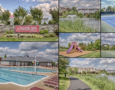44286 Acushnet Terrace - Photo Thumbnail 23