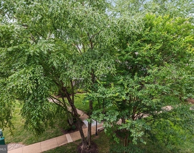 1580 Spring Gate Drive - Photo Thumbnail 24