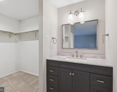 11712 Mossy Creek Lane - Photo Thumbnail 23