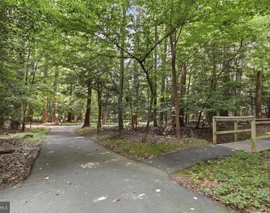 11712 Mossy Creek Lane - Photo Thumbnail 43