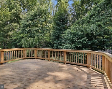 11712 Mossy Creek Lane - Photo Thumbnail 18