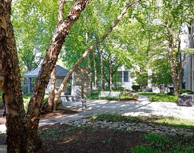 2001 Hamilton Street - Photo Thumbnail 12