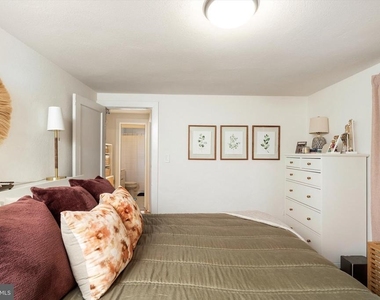 43 Spruce - Photo Thumbnail 17