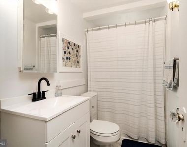43 Spruce - Photo Thumbnail 12