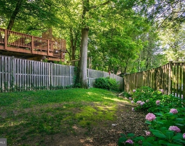 1626 Kalmia Road Nw - Photo Thumbnail 43