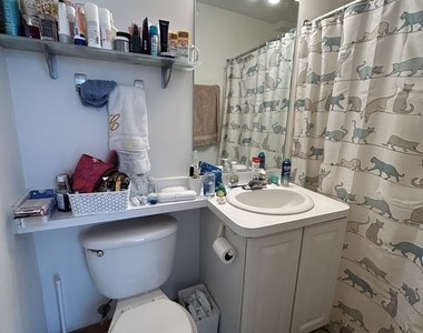 867 W Buckingham Place - Photo Thumbnail 14
