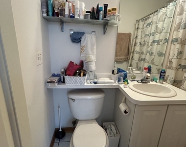 867 W Buckingham Place - Photo Thumbnail 15