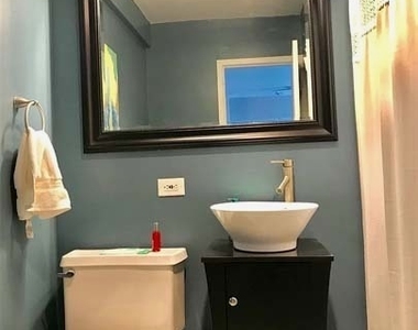 1460 N Sandburg Terrace - Photo Thumbnail 8