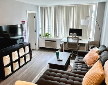 1460 N Sandburg Terrace - Photo Thumbnail 9