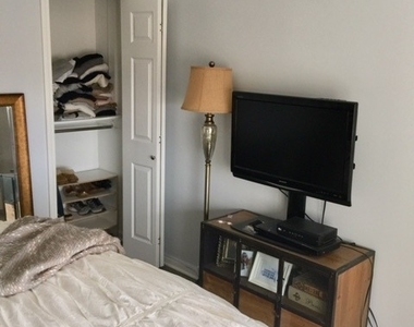 1460 N Sandburg Terrace - Photo Thumbnail 11