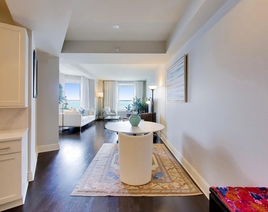 850 N Lake Shore Drive - Photo Thumbnail 4